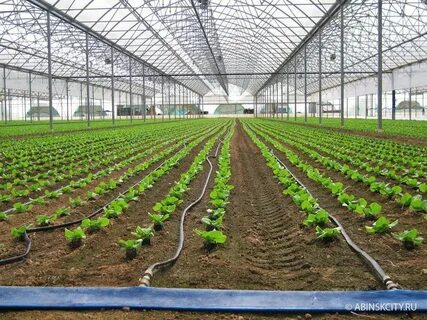 تصویر 3 از خرید و قیمت نوار تیپ گلخانه ای + فروش صادراتی